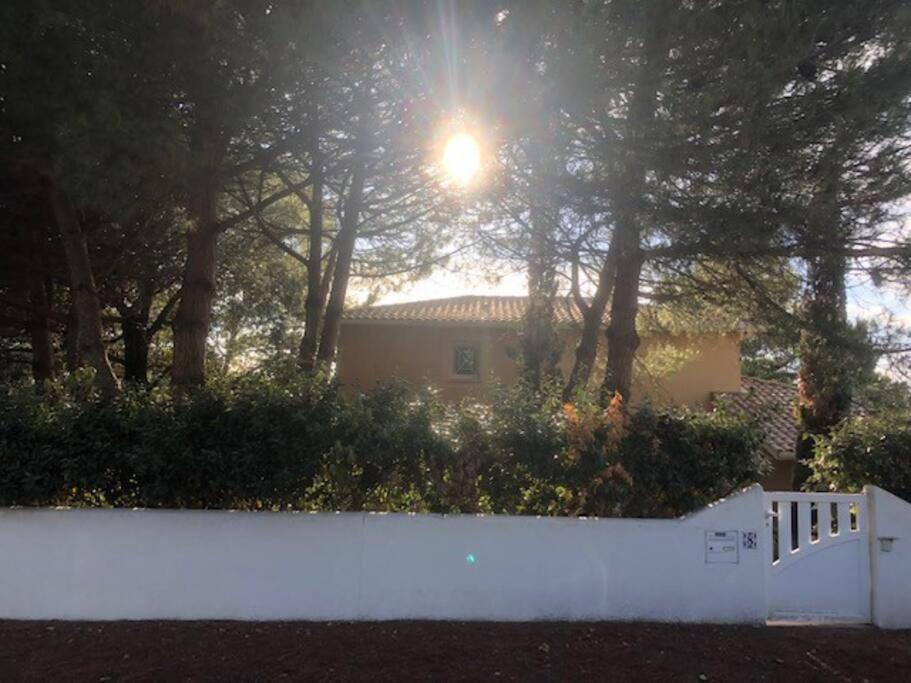 Villa Arethuse - Pyla Sur Mer Bagian luar foto